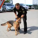 Does a Search by a Drug Sniffing Dog Violate Your Constitutional Rights?