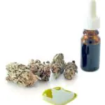 Recent Changes in Texas Hemp Laws and Marijuana Prosecution In Harris County 1 Recent Changes in Texas Hemp Laws and Marijuana Prosecution In Harris County